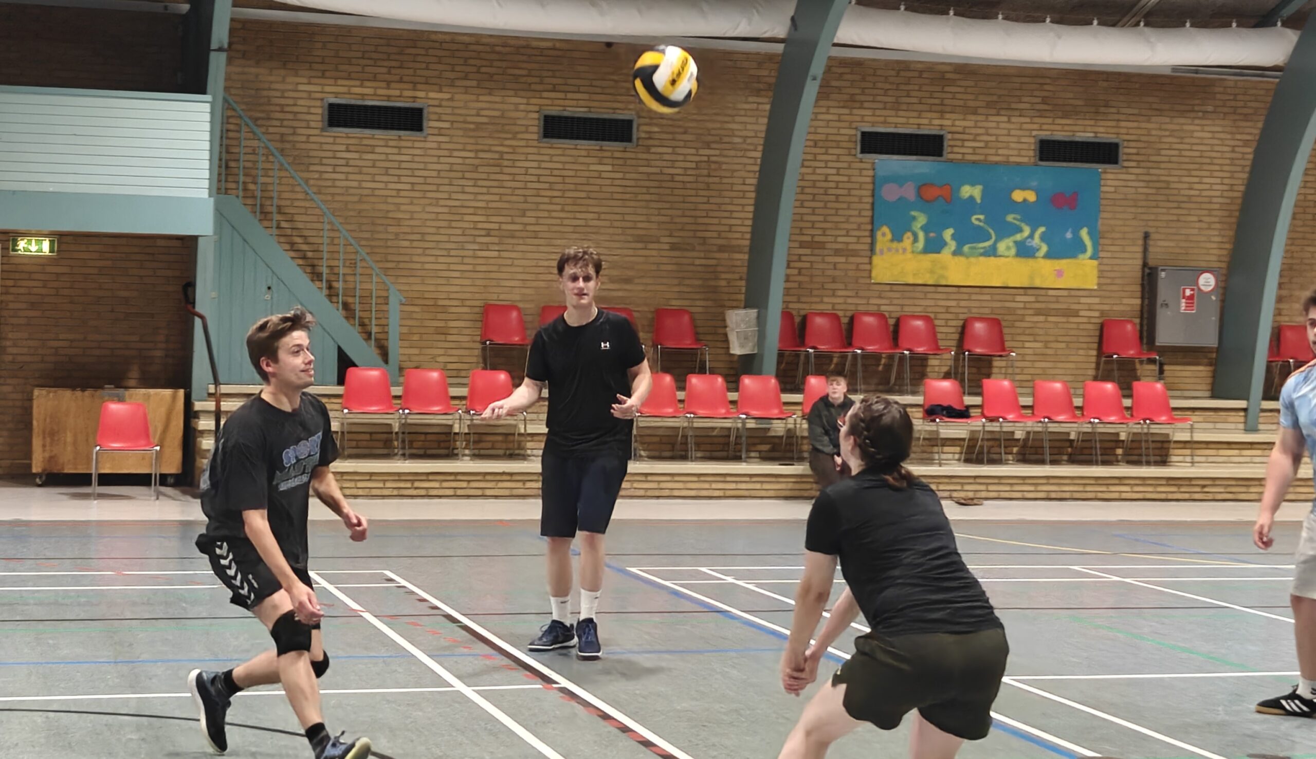 mix-volleyball